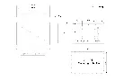 HP11X-AC_AR07.webp